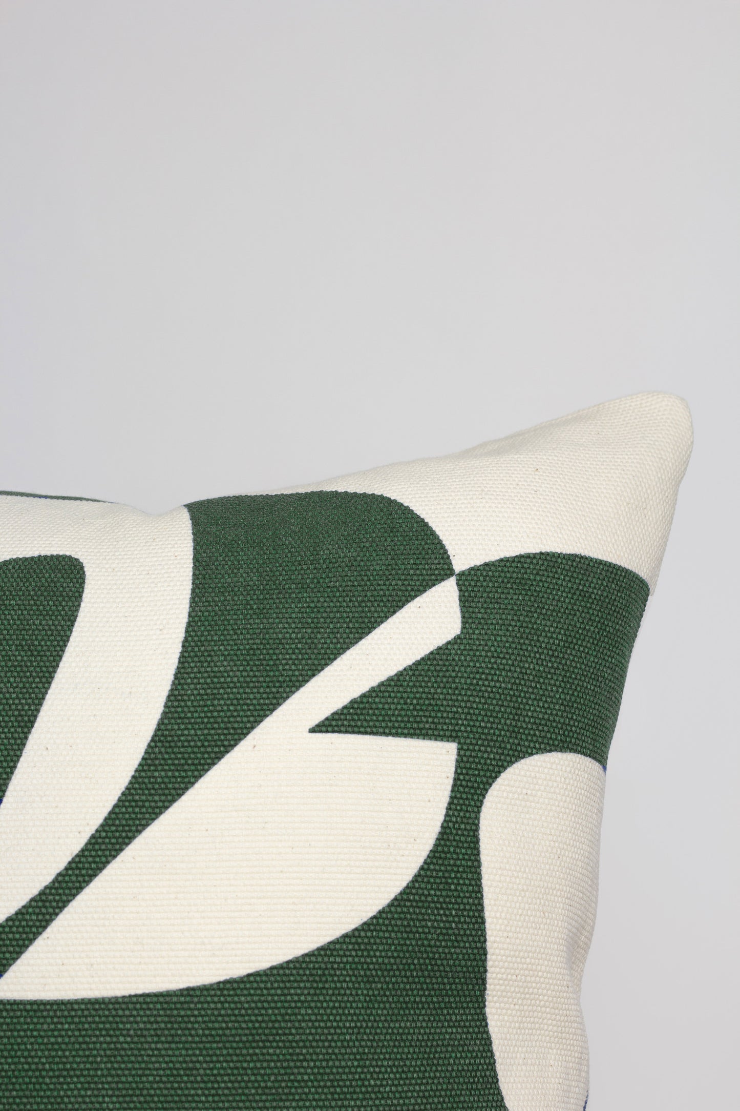 Housse de Coussin Asym greenie