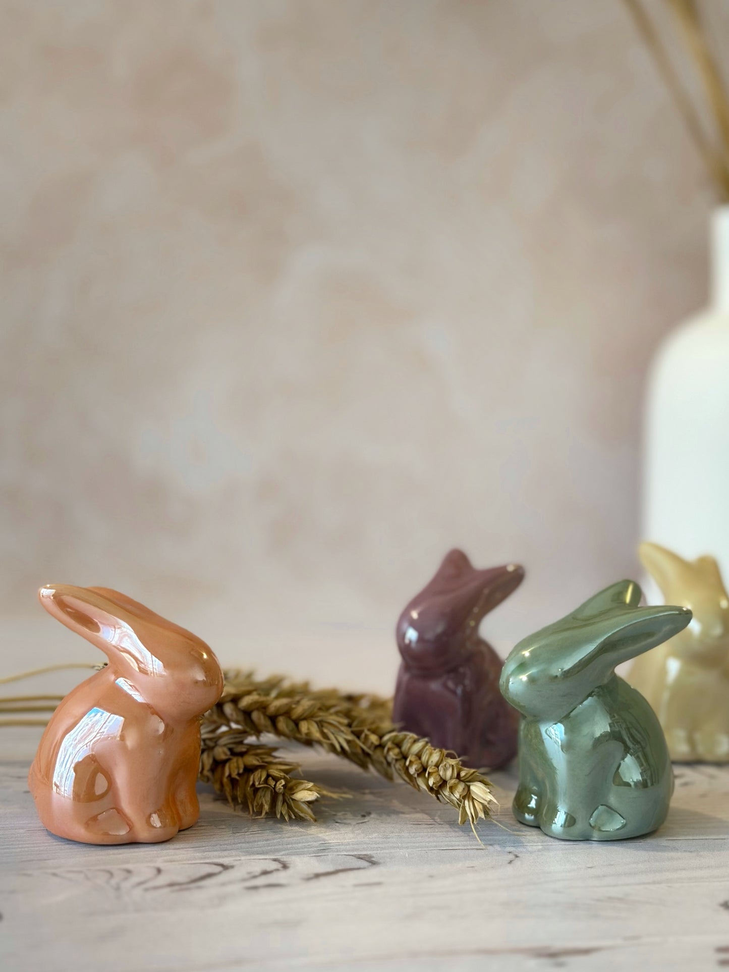 Lapin de Pâques & printemps