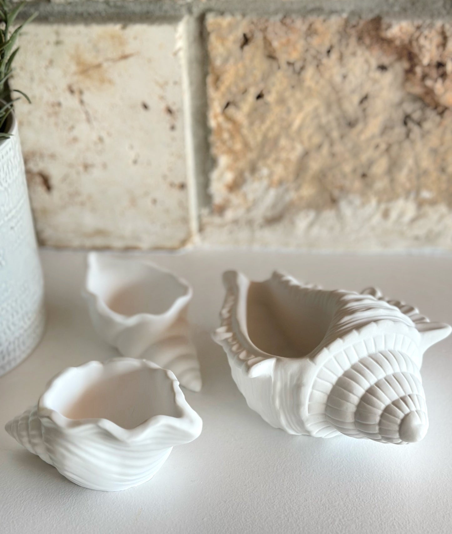 Objet Coquillage Océane