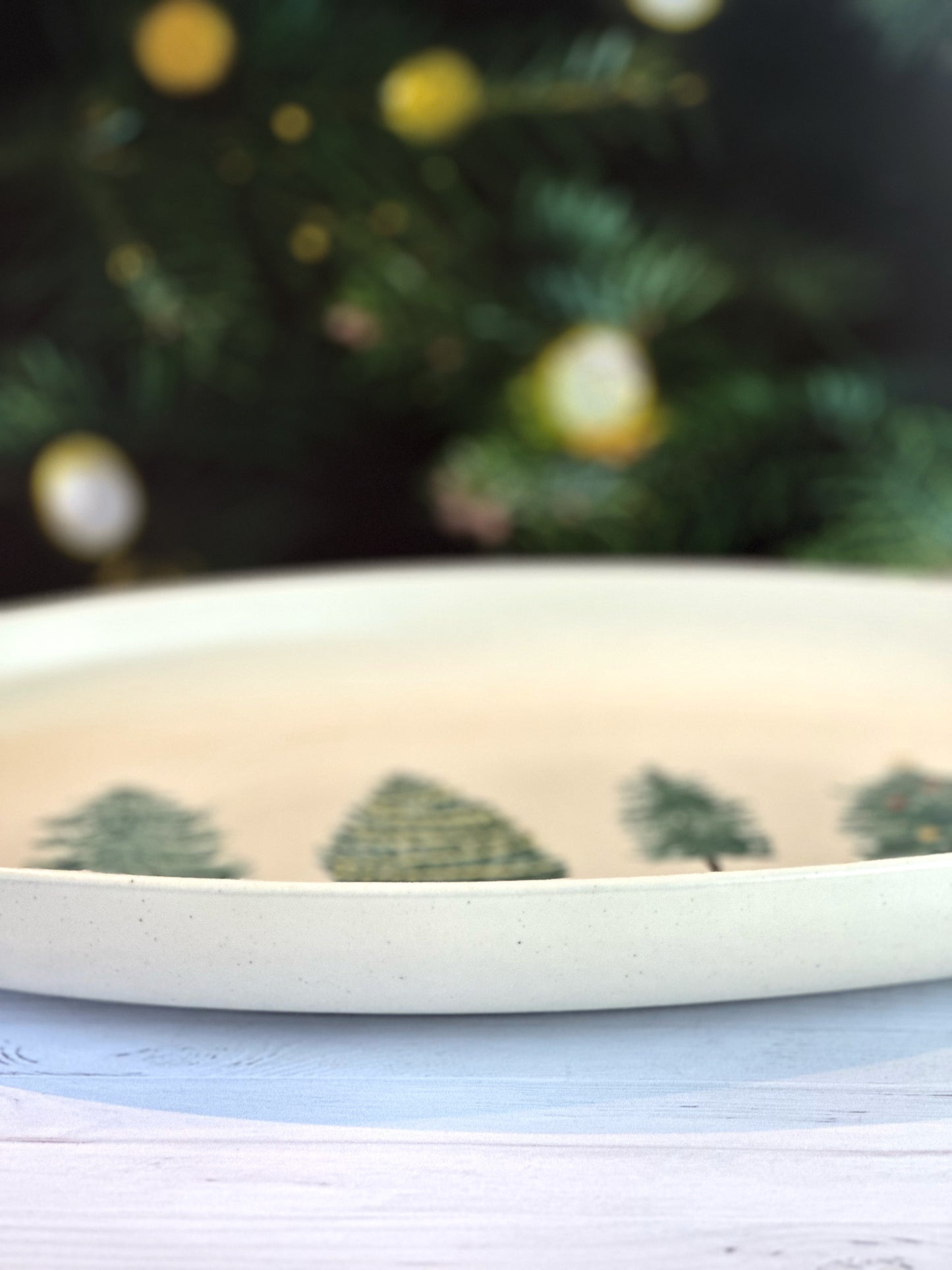 Plateau Navidad