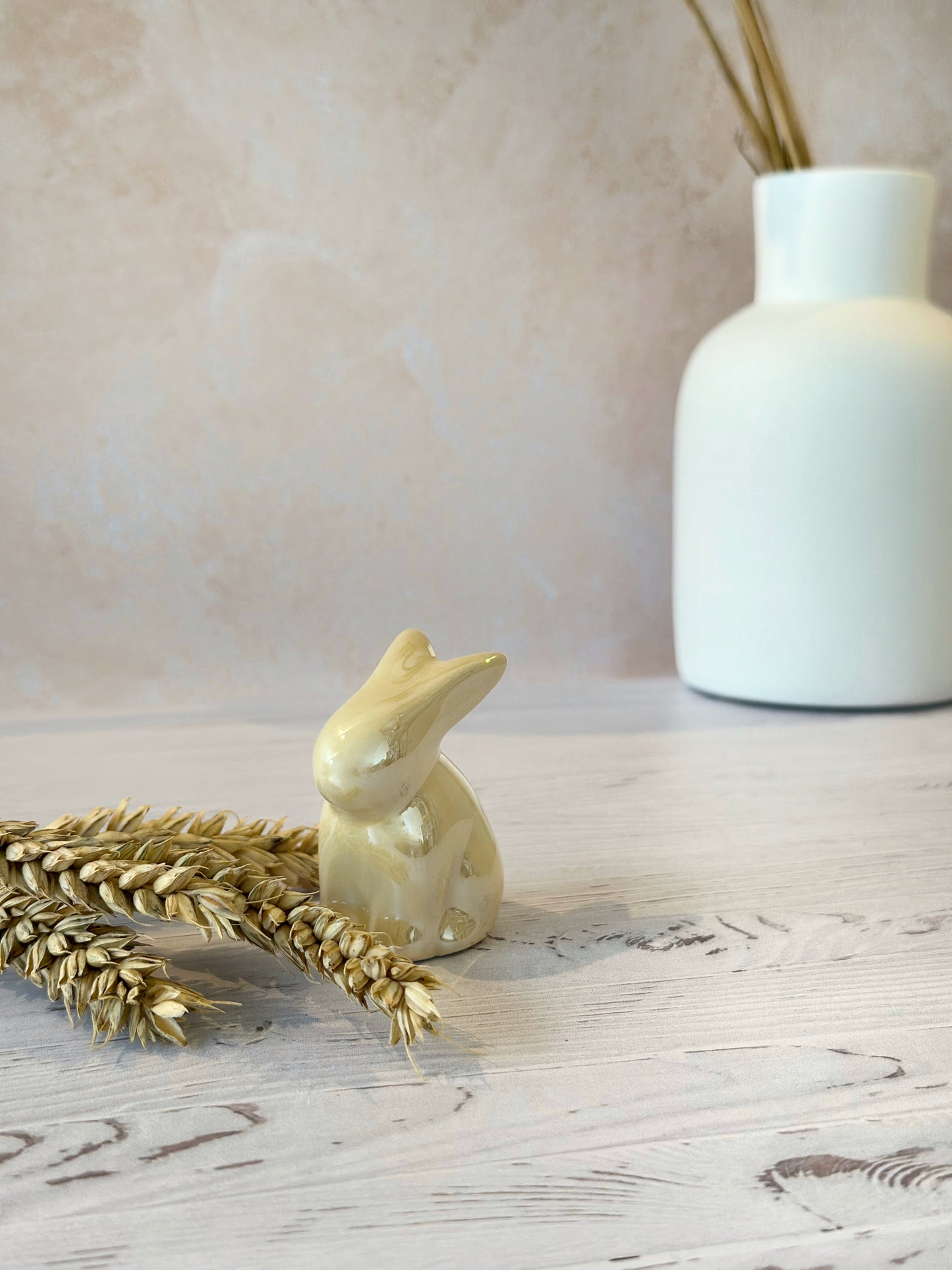 Lapin de Pâques & printemps