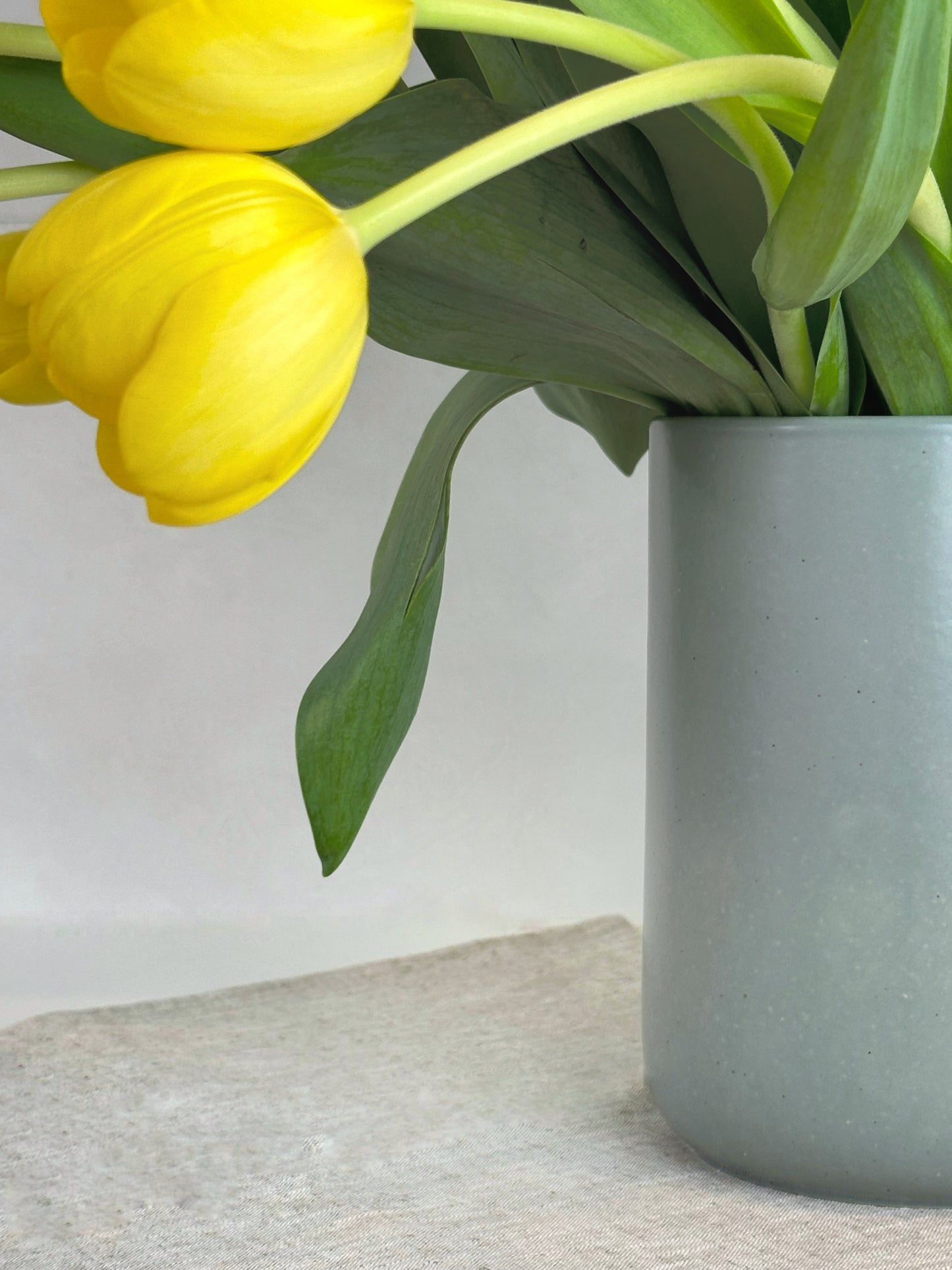 Pot à Ustensiles Ida vert d'eau