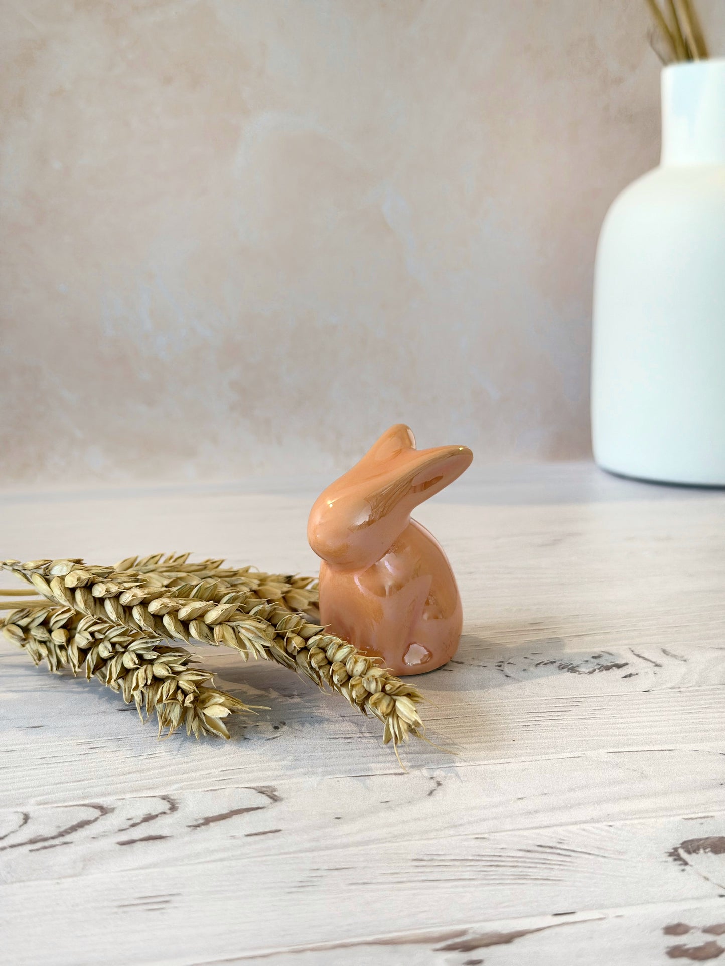 Lapin de Pâques & printemps