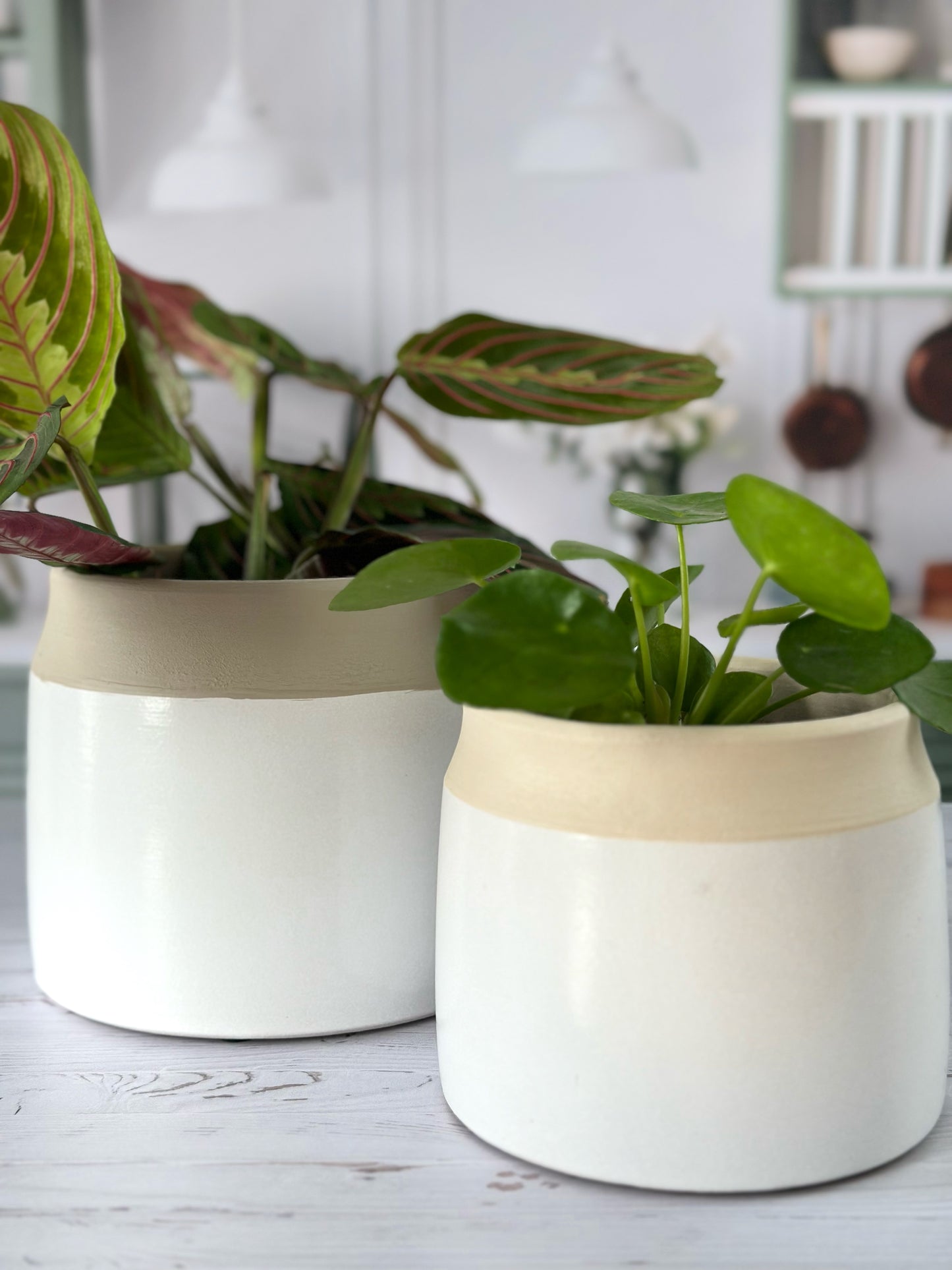 Cache-pot Bico – Beige & Vert Sauge