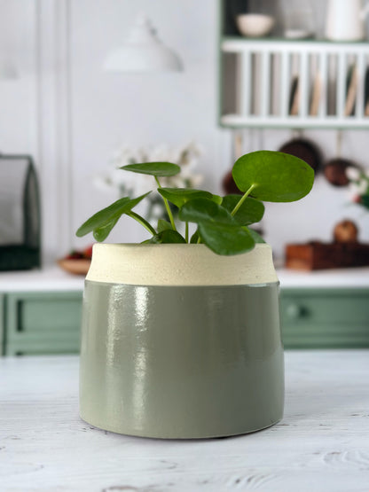 Cache-pot Bico – Beige & Vert Sauge