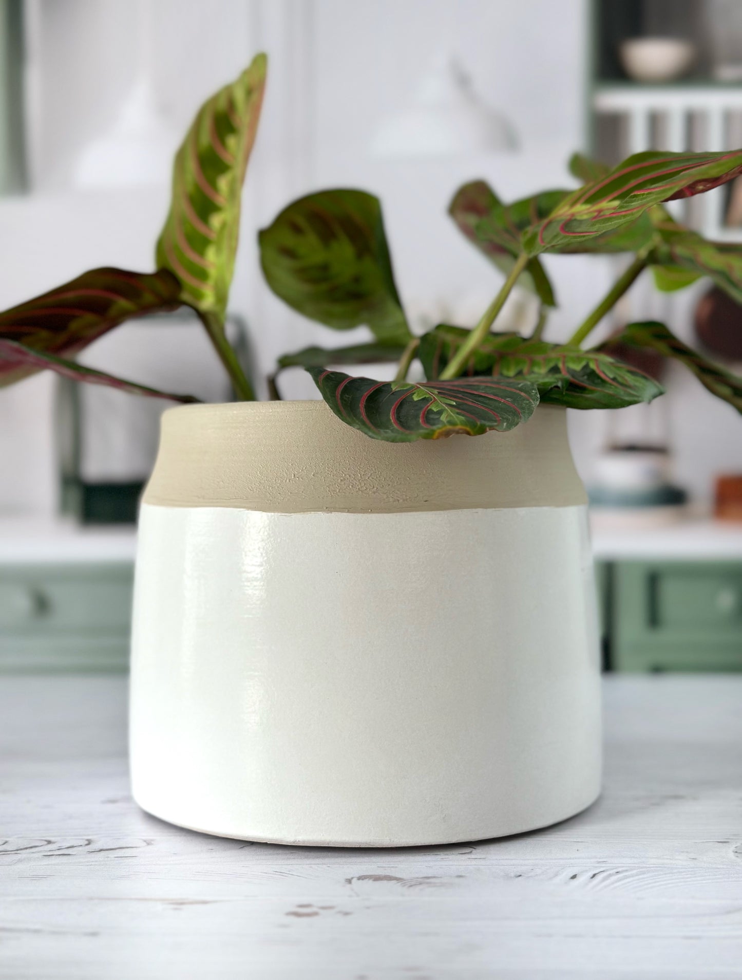 Cache-pot Bico – Beige & Vert Sauge